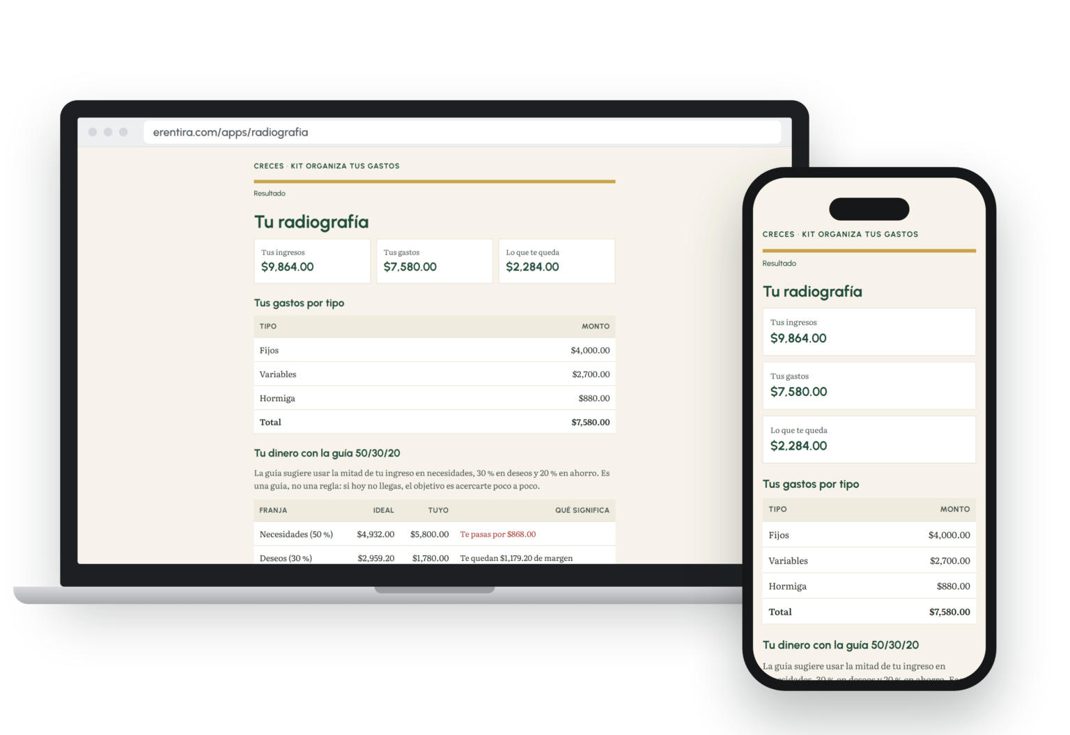 La app Radiografía Financiera en laptop y celular